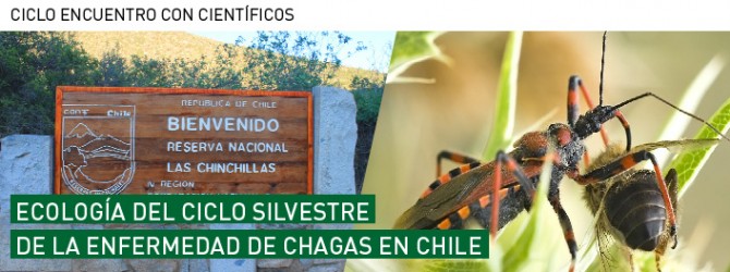 portada-3 mayo
