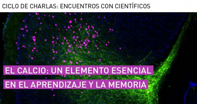 portada-17 mayo