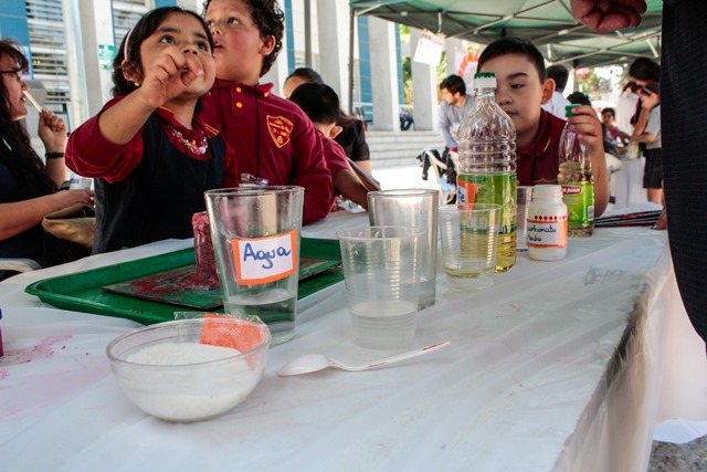 _mg_8317-1-baja